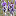 favicon favicon